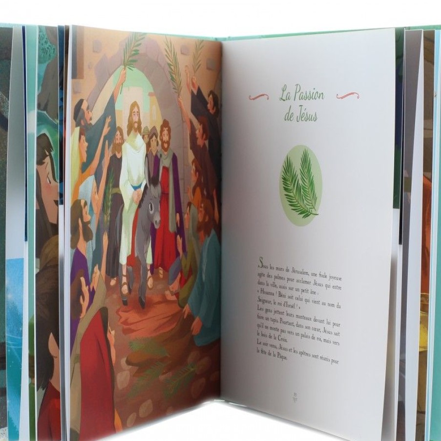 Palais du Rosaire Bible Catholique | Sur Les Pas De Jesus - L'Evangile Pour Les Petits