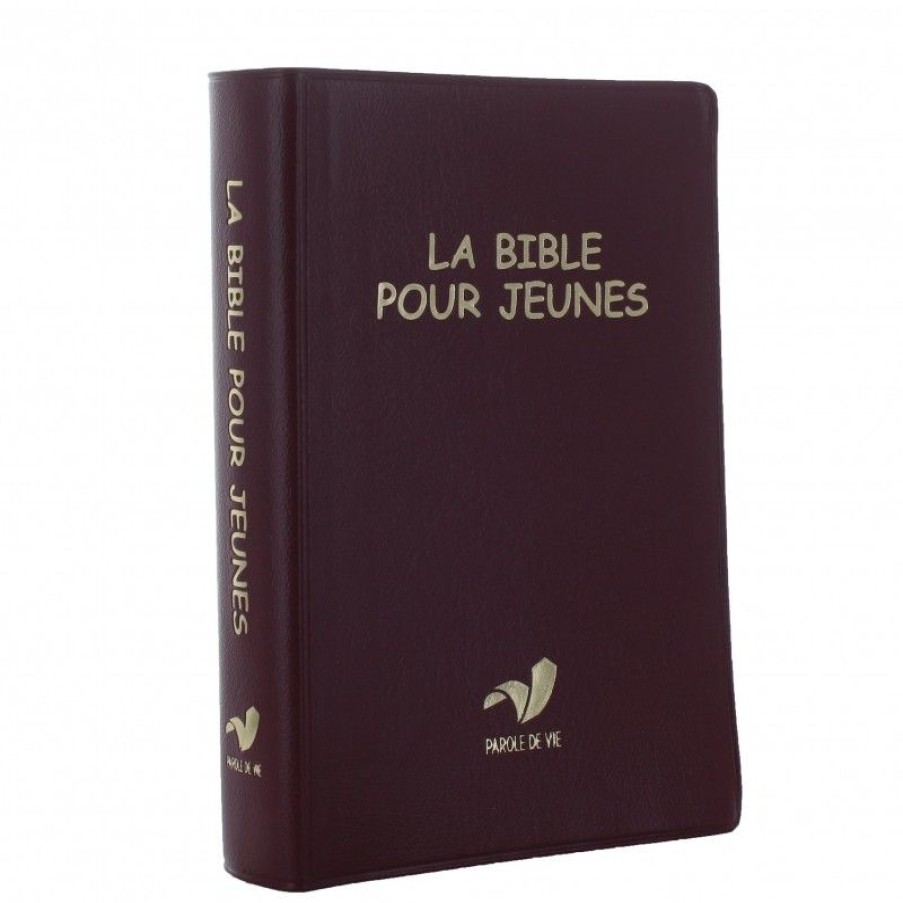 Palais du Rosaire Bible Catholique | Bible Pour Jeunes 17 Cm