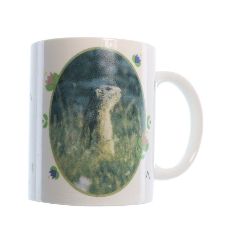 Palais du Rosaire Vaisselle De Lourdes | Divers Mug De Lourdes Et Des Pyrenees