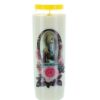 Palais du Rosaire Bougie Neuvaine | Lot De 12 Bougies De Neuvaine Apparition De Lourdes 17,5 Cm