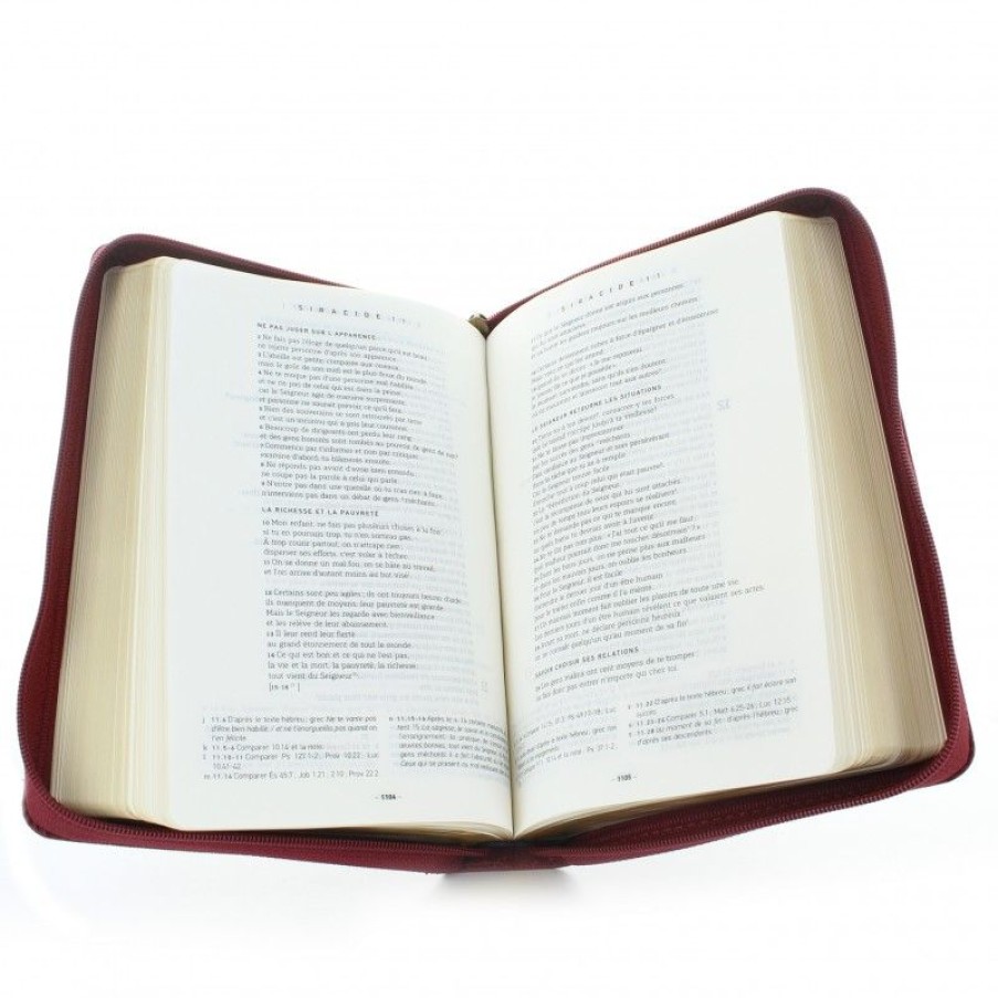 Palais du Rosaire Bible Catholique | Bible Catholique Nouvelle En Francais Courant Avec Note 20 Cm