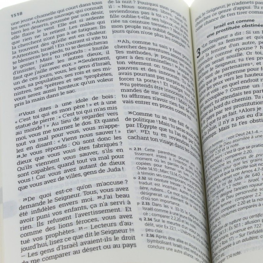 Palais du Rosaire Bible Catholique | Bible Nouvelle En Francais Courant, Gros Caracteres