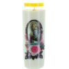 Palais du Rosaire Bougie Neuvaine | Lot De 3 Bougies De Neuvaine Apparition De Lourdes 17,5 Cm