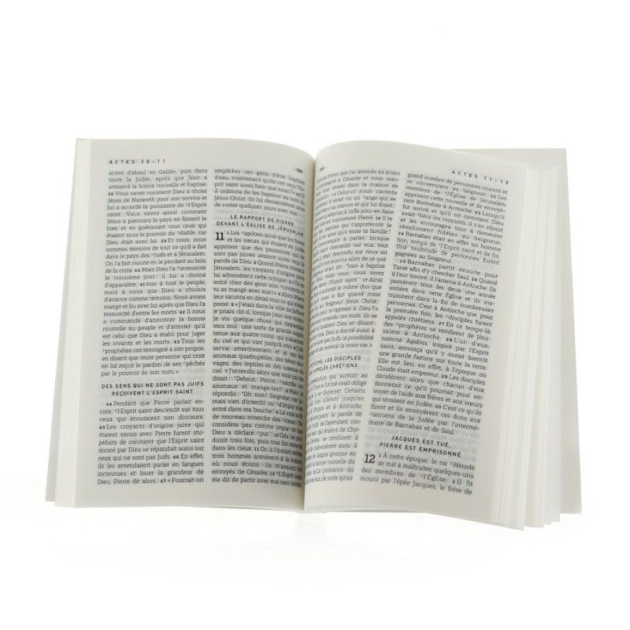 Palais du Rosaire Bible Catholique | Nouveau Testament En Francais Courant