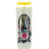 Palais du Rosaire Bougie Neuvaine | Lot De 20 Bougies Neuvaine Apparition De Lourdes 17,5 Cm